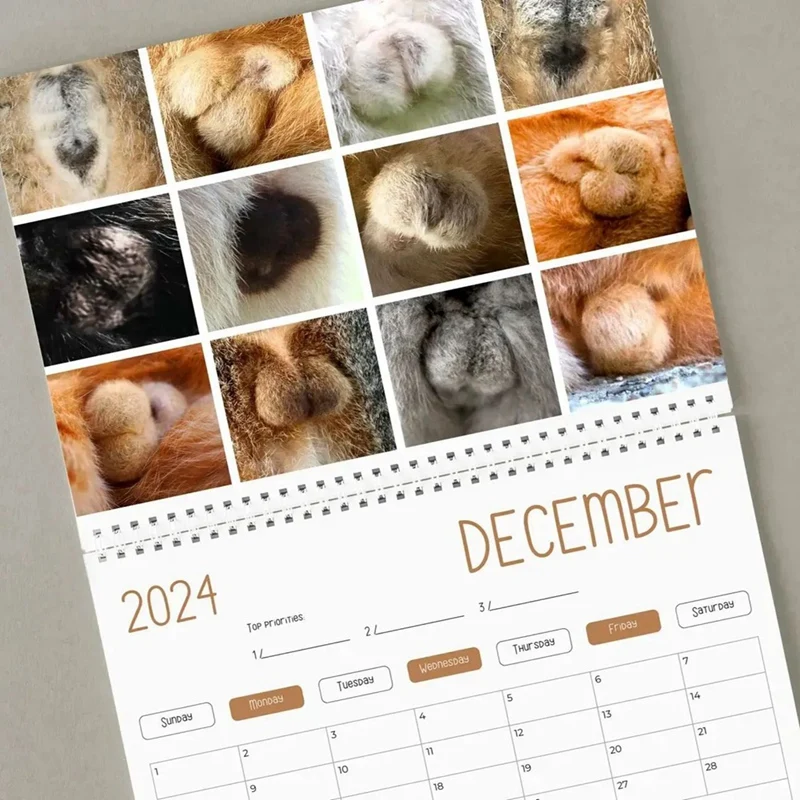 1 יח ' חתול מצחיק לוח שנה - מצחיק - מתנה חתולים הישבן לוח שנה 2024 כפי שמוצג נייר חתול - חתול האשכים - פיל לבן